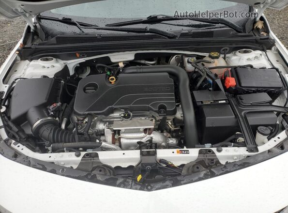 1G1ZD5STXMF084436 2021 CHEVROLET MALIBU Белый Вид задней части салона