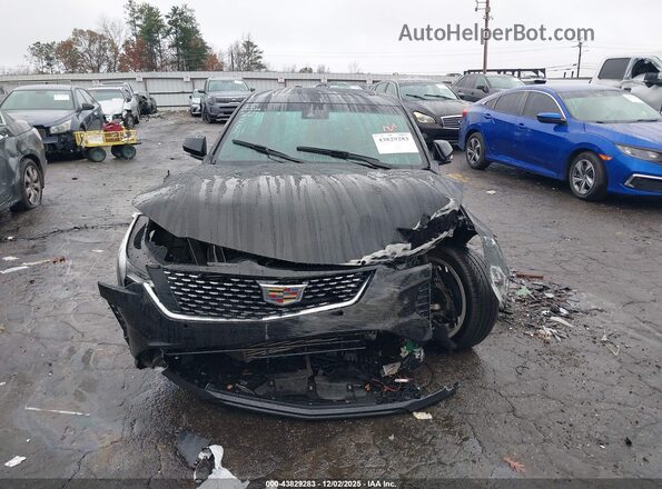 1G6DB5RKXP0128059 2023 CADILLAC CT4 Black უკანა სალონის ხედი