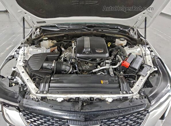 1G6DF5RK2P0119487 2023 CADILLAC CT4 Белый Вид задней части салона