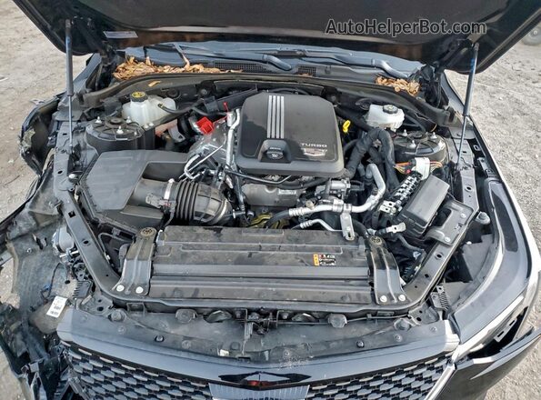 1G6DF5RK5R0103514 2024 CADILLAC CT4 Black Rear interior view