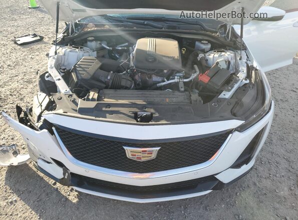 1G6DP5RK4P0144310 2023 CADILLAC CT5 Белый Вид задней части салона