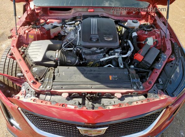 1G6DP5RKXP0120030 2023 CADILLAC CT5 Red Սալոնի հետևի տեսք