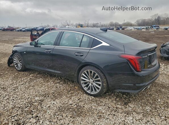 1G6DS5RK8P0116797 2023 CADILLAC CT5 Black Задня ліва чверть