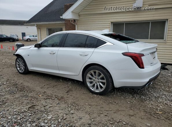 1G6DX5RK7M0119073 2021 CADILLAC CT5 White უკანა მარცხენა