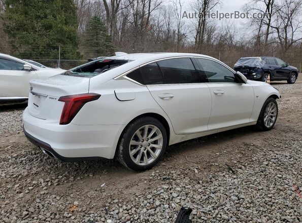 1G6DX5RK7M0119073 2021 CADILLAC CT5 White უკანა მარჯვენა