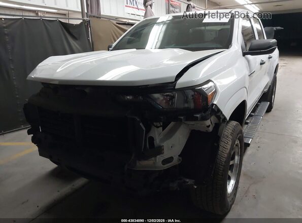 1GCGSBEC3R1128764 2024 CHEVROLET COLORADO Белый Вид спереди