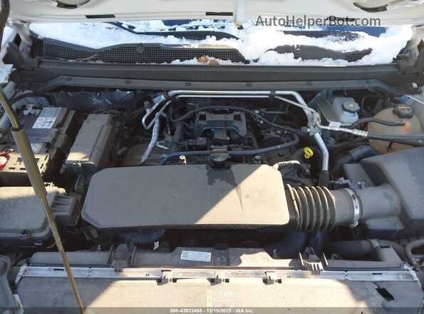 1GCGSBEC5R1135649 2024 CHEVROLET COLORADO White Widok z tyłu