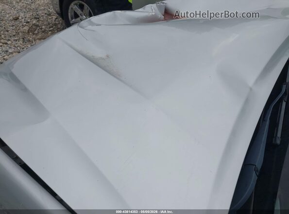 1GCGTCEN5L1199573 2020 CHEVROLET COLORADO Silver 