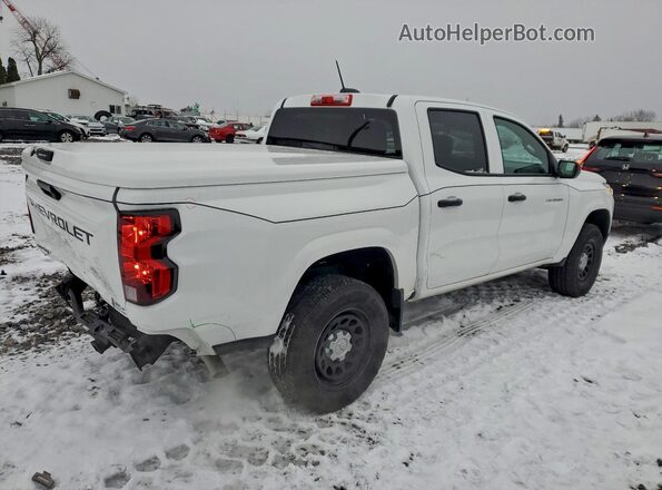 1GCPSBEK6R1222998 2024 CHEVROLET COLORADO Белый Задняя правая четверть