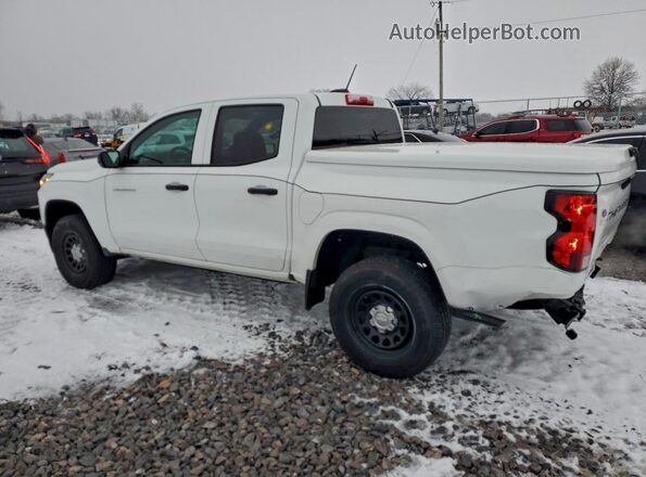 1GCPSBEK6R1222998 2024 CHEVROLET COLORADO Белый Задняя левая четверть