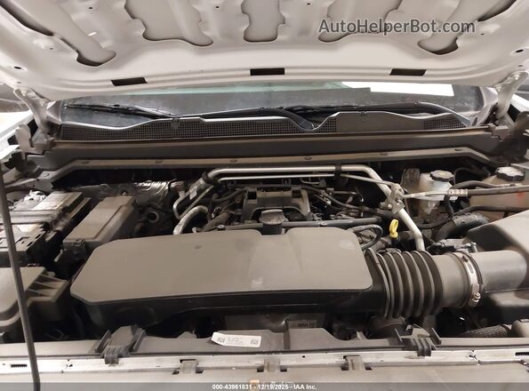 1GCPTBEK0R1304416 2024 CHEVROLET COLORADO White Widok z tyłu