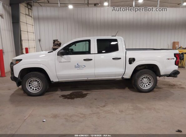1GCPTBEK0R1304416 2024 CHEVROLET COLORADO White Widok wnętrza 360 stopni