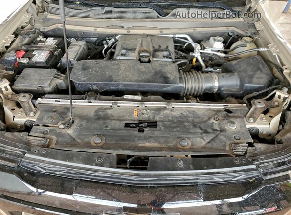 1GCPTFEK5P1264662 2023 CHEVROLET COLORADO Beige Vista interior trasera