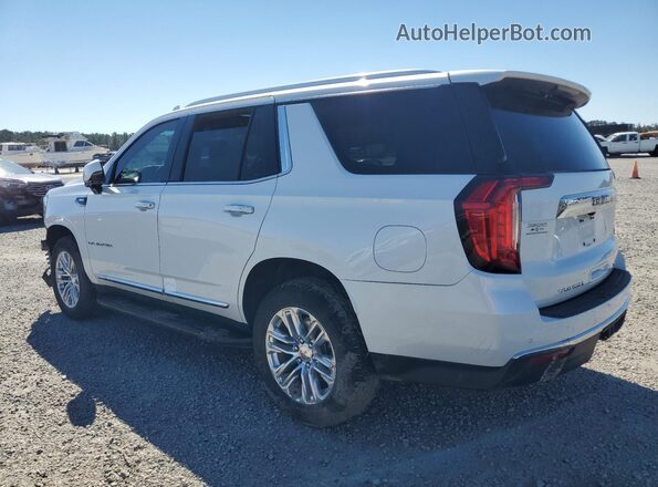 1GKS2BKDXPR212168 2023 GMC YUKON White Tył lewy