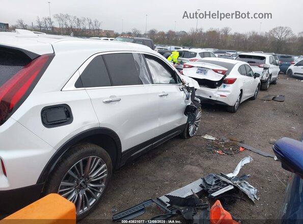 1GYFZDR48SF133290 2025 CADILLAC XT4 Белый Задняя правая четверть