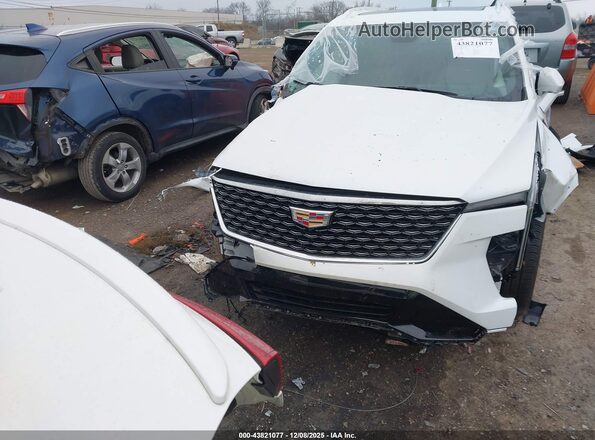 1GYFZDR48SF133290 2025 CADILLAC XT4 Белый Вид задней части салона