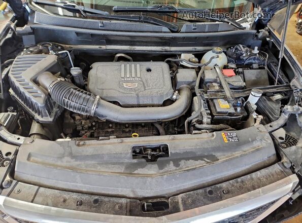 1GYKPAR41MZ218752 2021 CADILLAC OTHER Blue 