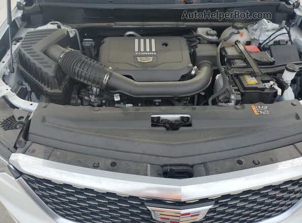 1GYKPAR45RZ744955 2024 CADILLAC OTHER White Սալոնի հետևի տեսք