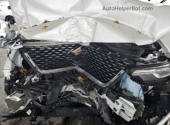 1GYKPDRS9PZ211164 2023 CADILLAC OTHER Белый Вид подкапотного пространства