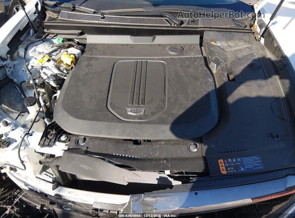 1GYKPVRL7RZ121464 2024 CADILLAC OTHER Белый Вид сзади