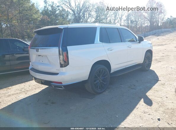 1GYS4BKLXPR371330 2023 CADILLAC ESCALADE White Հետևի աջ