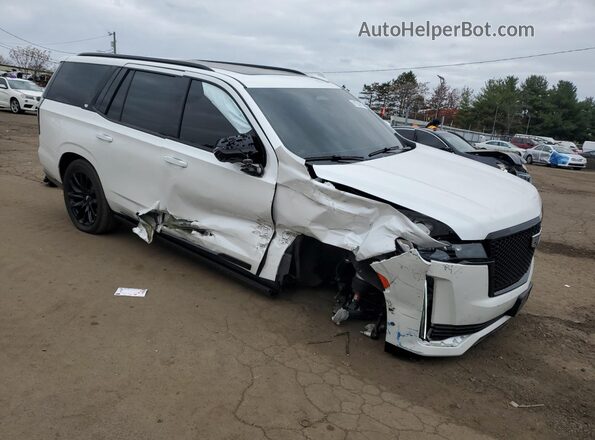 1GYS4FKL5PR294941 2023 CADILLAC ESCALADE Белый Передняя правая четверть