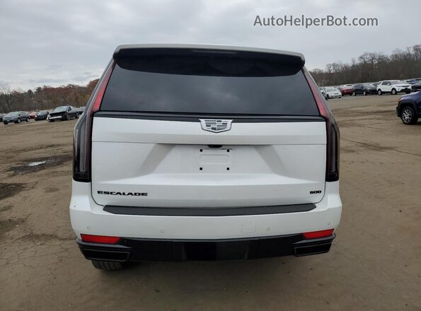 1GYS4FKL5PR294941 2023 CADILLAC ESCALADE Белый Вид сзади