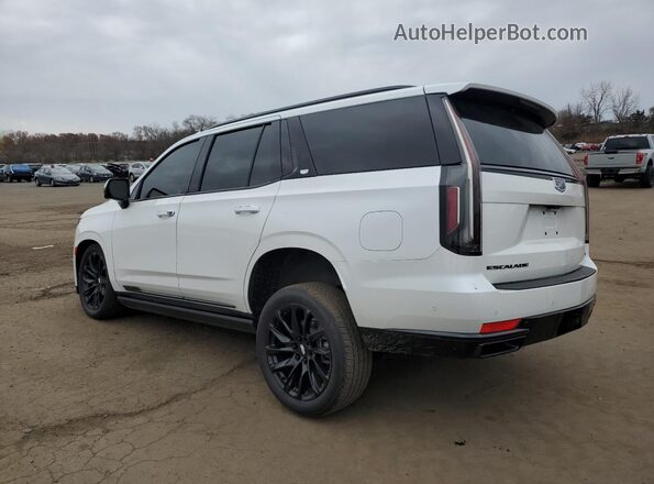 1GYS4FKL5PR294941 2023 CADILLAC ESCALADE Белый Задняя левая четверть