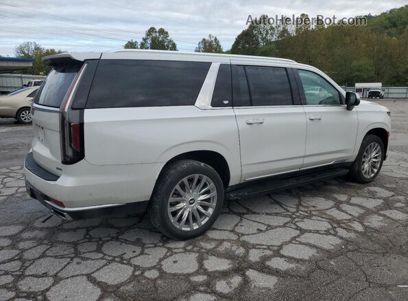 1GYS4KKL1PR160081 2023 CADILLAC ESCALADE White Задня права чверть