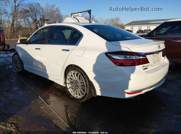 1HGCR2F51GA222442 2016 HONDA ACCORD Белый Задняя левая четверть