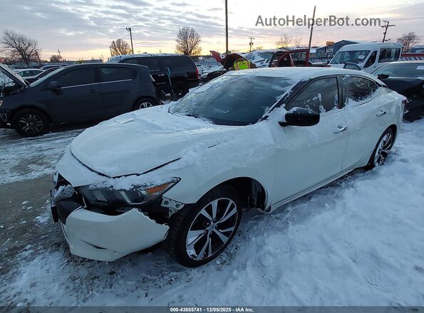 1N4AA6AP0HC365102 2017 NISSAN MAXIMA Белый Передняя левая четверть