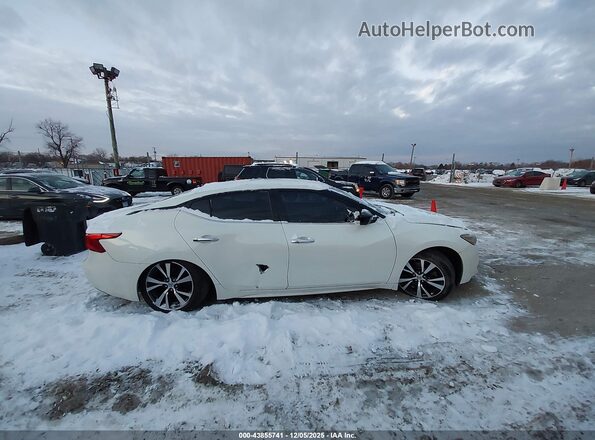 1N4AA6AP0HC365102 2017 NISSAN MAXIMA Белый Вид задней части салона