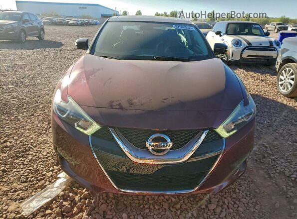 1N4AA6AP6GC447088 2016 NISSAN MAXIMA Burgundy Front view