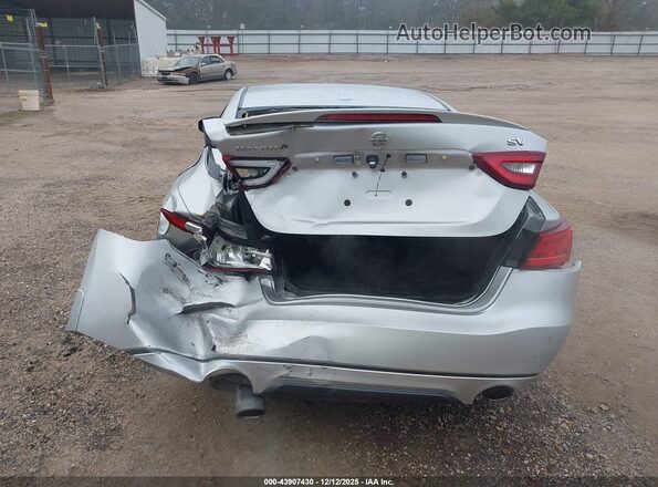 1N4AA6AP6HC410267 2017 NISSAN MAXIMA Silver 