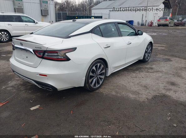 1N4AA6FV2PC502563 2023 NISSAN MAXIMA PLATINUM White უკანა მარჯვენა