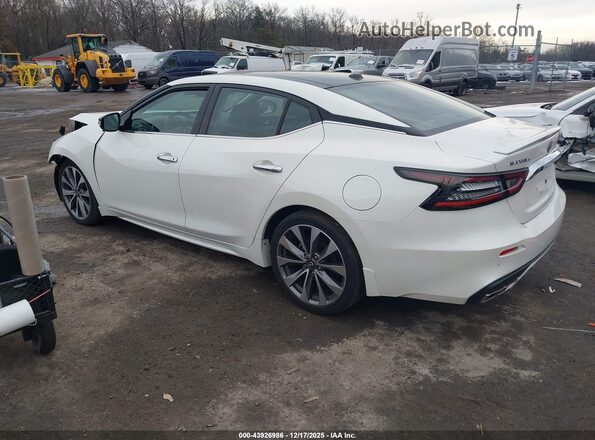 1N4AA6FV2PC502563 2023 NISSAN MAXIMA PLATINUM White უკანა მარცხენა