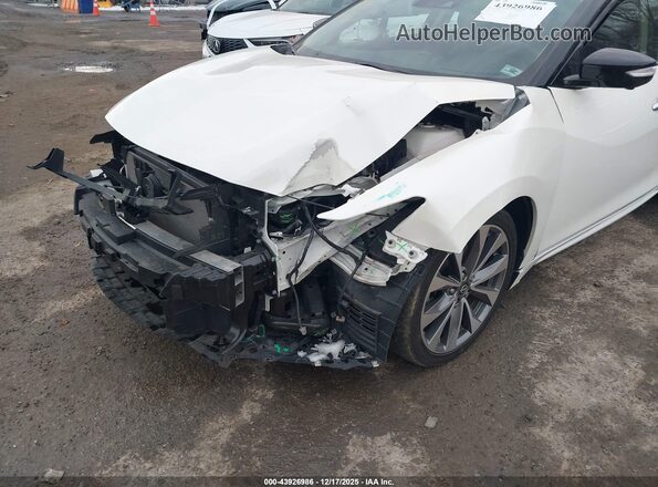 1N4AA6FV2PC502563 2023 NISSAN MAXIMA PLATINUM White წინა ხედი