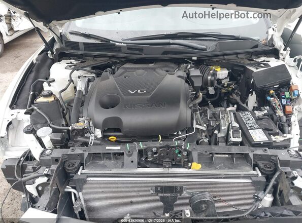 1N4AA6FV2PC502563 2023 NISSAN MAXIMA PLATINUM White უკანა ხედი