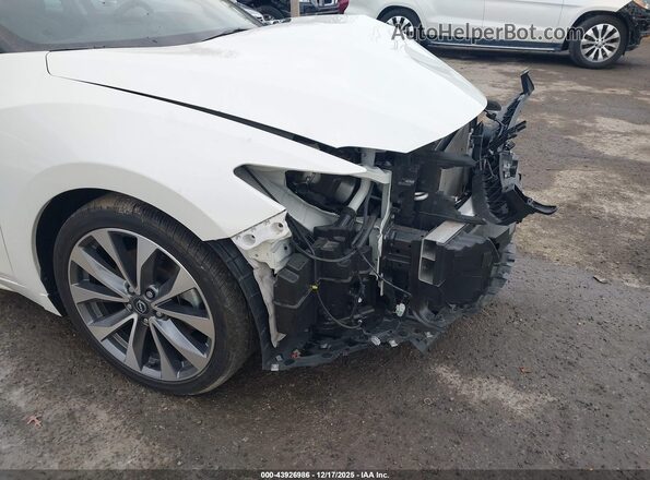 1N4AA6FV2PC502563 2023 NISSAN MAXIMA PLATINUM White 
