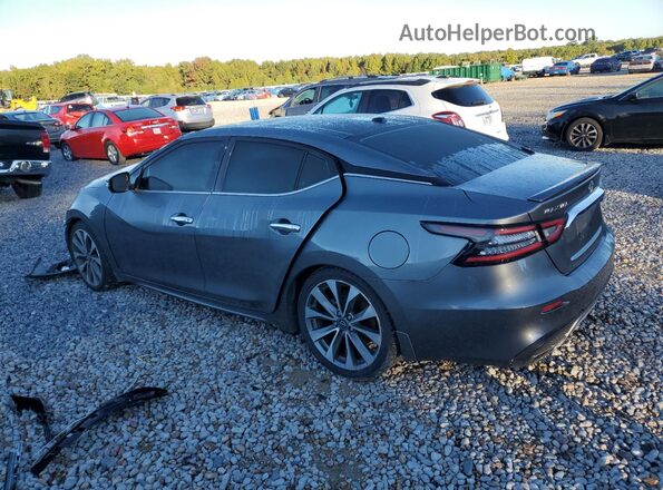 1N4AA6FV3PC514172 2023 NISSAN MAXIMA PLATINUM Gray უკანა მარცხენა