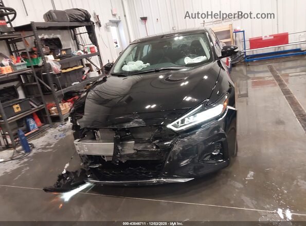 1N4AA6FV6PC502498 2023 NISSAN MAXIMA PLATINUM Черный Вид задней части салона