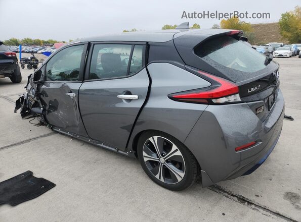 1N4AZ1CP4LC303848 2020 NISSAN LEAF Gray Հետևի ձախ