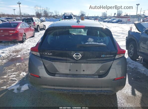 1N4AZ1CPXLC300758 2020 NISSAN LEAF Gray 