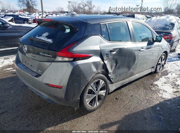 1N4AZ1CPXLC300758 2020 NISSAN LEAF Gray 