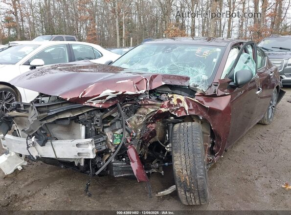 1N4BL4DV3RN384651 2024 NISSAN ALTIMA Burgundy Front view