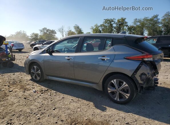 1N4BZ1CP4LC311632 2020 NISSAN LEAF Gray 