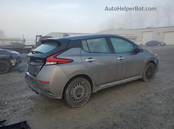 1N4BZ1DP3LC306839 2020 NISSAN LEAF Серый Задняя правая четверть