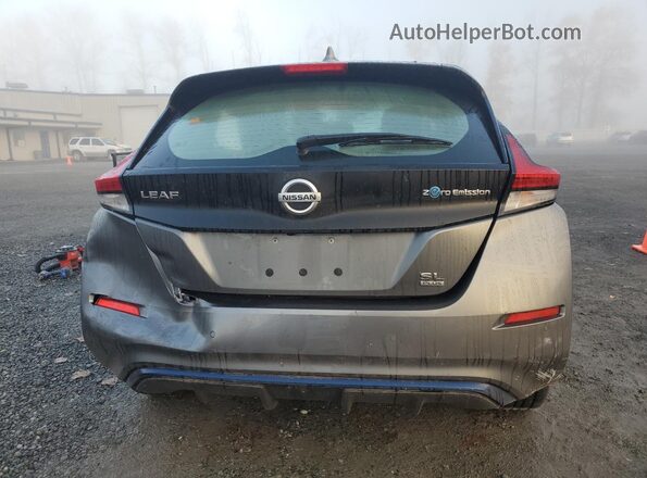 1N4BZ1DP3LC306839 2020 NISSAN LEAF Серый Вид сзади