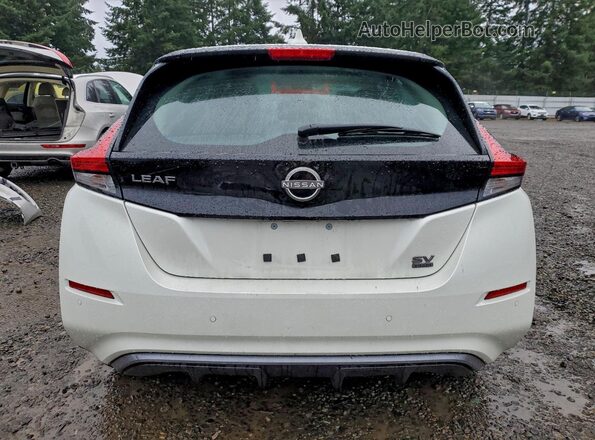 1N4CZ1CV2SC562781 2025 NISSAN LEAF Белый Вид сзади