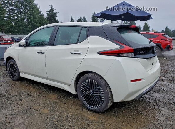 1N4CZ1CV2SC562781 2025 NISSAN LEAF Белый Задняя левая четверть